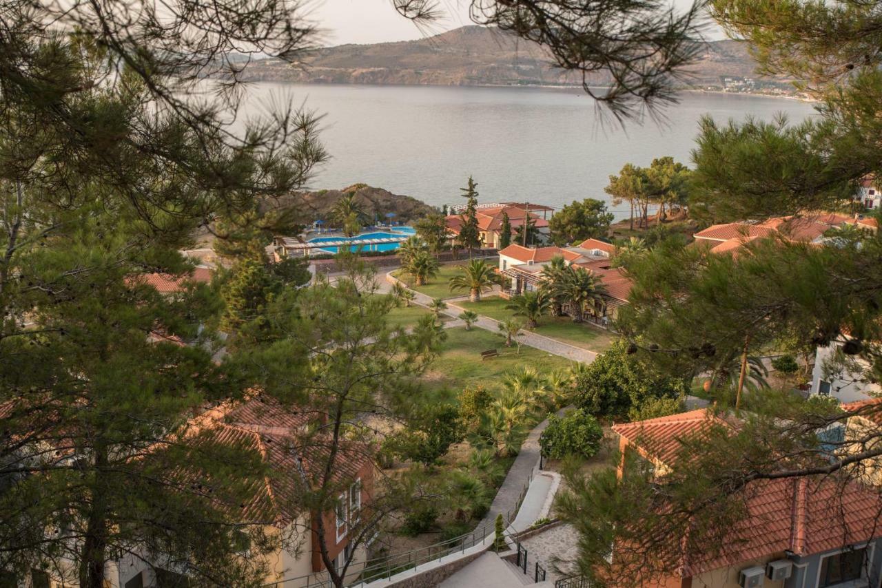Alma Hotel Petra  Exteriér fotografie